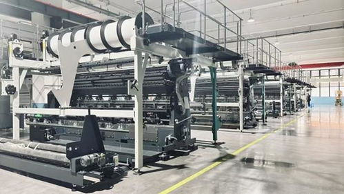 資陽安岳 先進設備強勢賦能 鞋服產業鏈再延伸